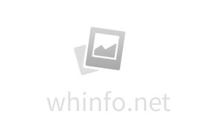 5月17日-6月20日，41路臨時調(diào)整